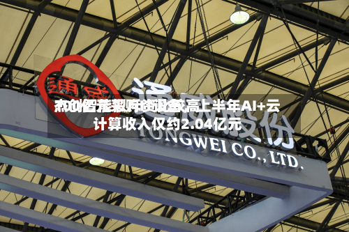 杰创智能拟斥资比较高100亿元采购IT设备	，上半年AI+云计算收入仅约2.04亿元-第2张图片