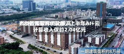 杰创智能拟斥资比较高100亿元采购IT设备，上半年AI+云计算收入仅约2.04亿元