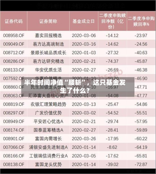 半年时间净值“腰斩”	，这只基金发生了什么？-第2张图片