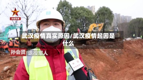 武汉疫情真实原因/武汉疫情起因是什么