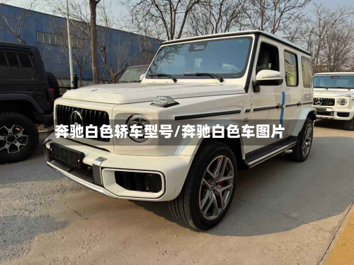 奔驰白色轿车型号/奔驰白色车图片