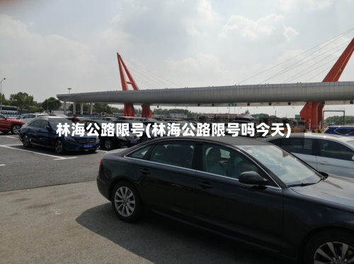 林海公路限号(林海公路限号吗今天)