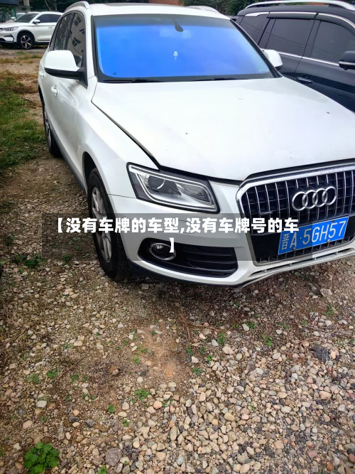 【没有车牌的车型,没有车牌号的车】-第3张图片