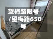 望梅路限号/望梅路650号