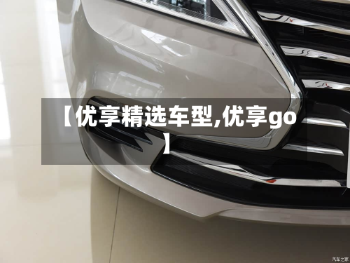 【优享精选车型,优享go】-第3张图片