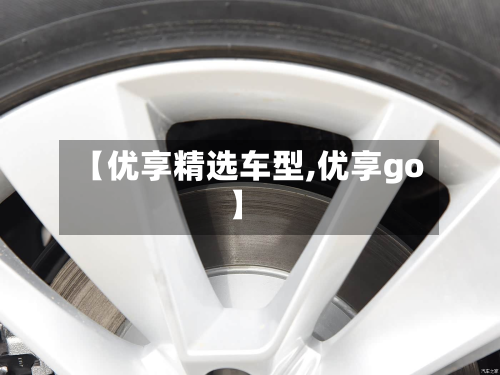 【优享精选车型,优享go】