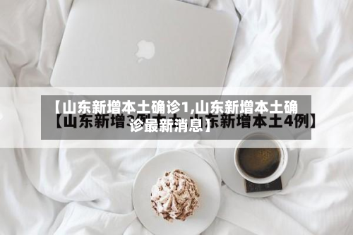 【山东新增本土确诊1,山东新增本土确诊最新消息】-第3张图片
