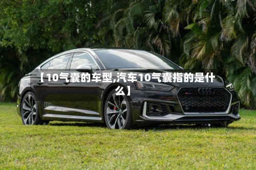 【10气囊的车型,汽车10气囊指的是什么】-第3张图片