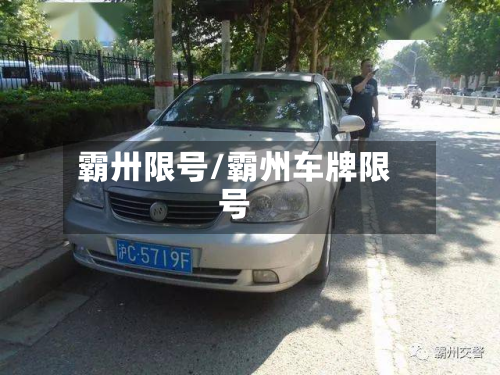 霸卅限号/霸州车牌限号