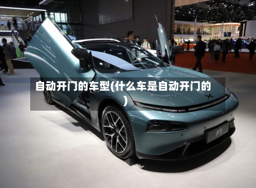 自动开门的车型(什么车是自动开门的)