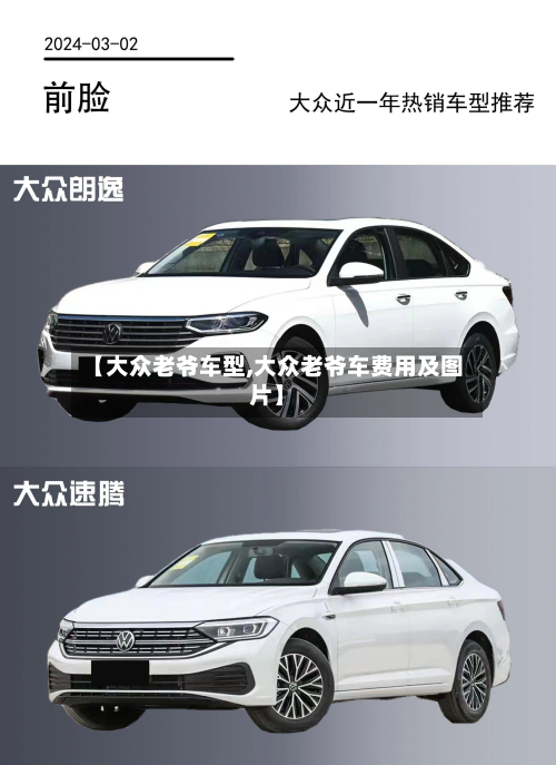 【大众老爷车型,大众老爷车费用及图片】-第3张图片