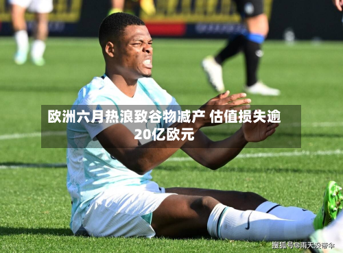 欧洲六月热浪致谷物减产 估值损失逾20亿欧元