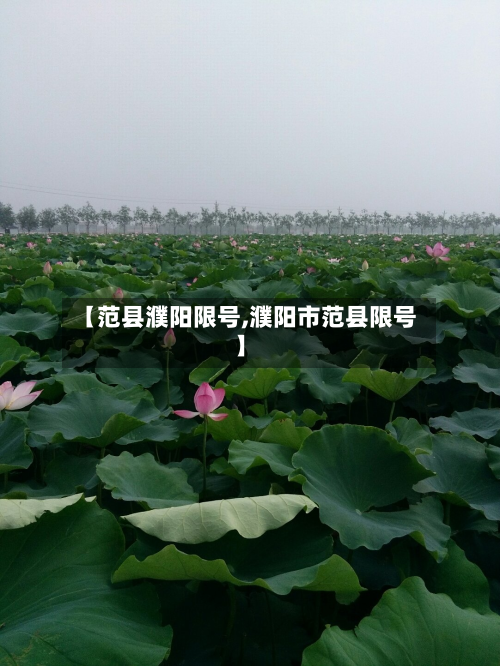 【范县濮阳限号,濮阳市范县限号】