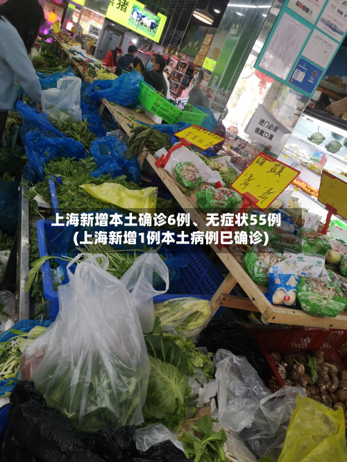 上海新增本土确诊6例	、无症状55例(上海新增1例本土病例巳确诊)-第2张图片