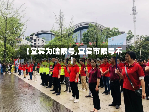 【宜宾为啥限号,宜宾市限号不】-第2张图片