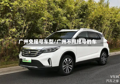广州免摇号车型/广州不用摇号的车