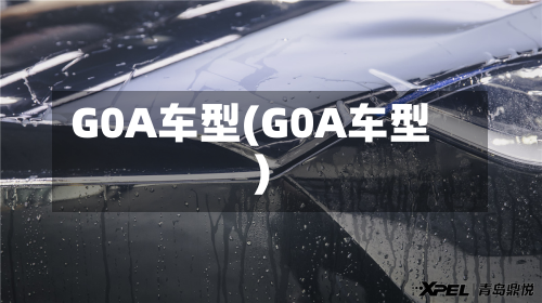 G0A车型(G0A车型)