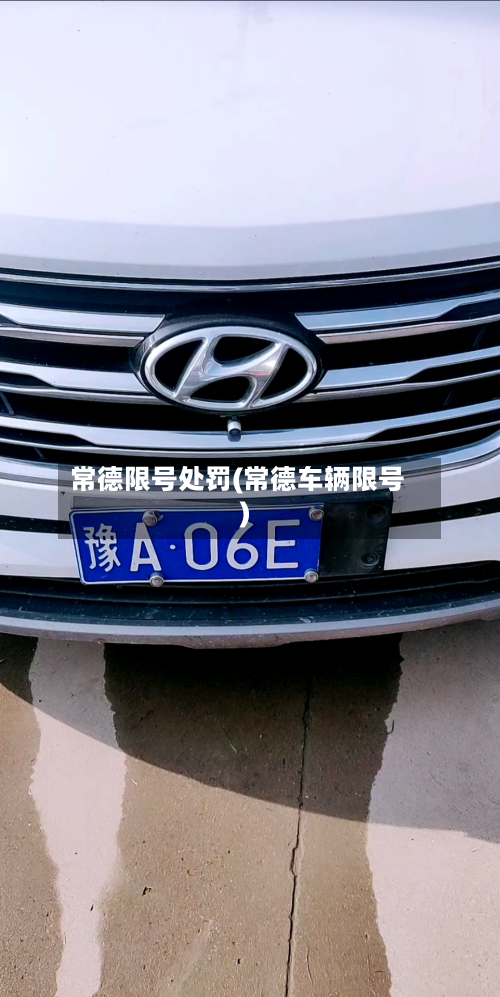常德限号处罚(常德车辆限号)