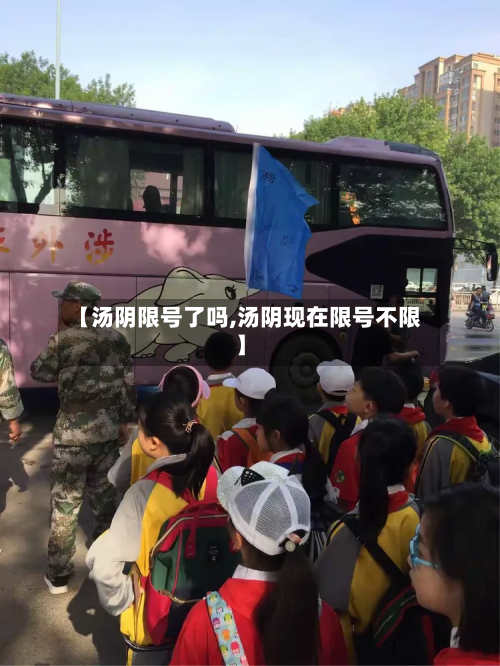 【汤阴限号了吗,汤阴现在限号不限】