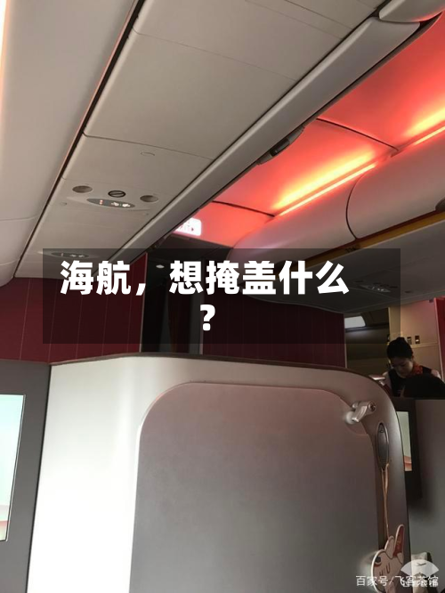海航	，想掩盖什么？-第2张图片