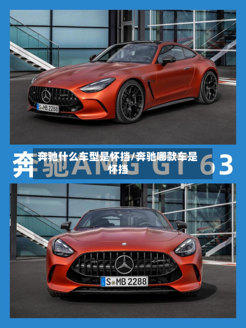 奔驰什么车型是怀挡/奔驰哪款车是怀挡
