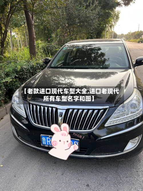 【老款进口现代车型大全,进口老现代所有车型名字和图】