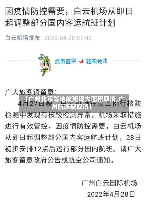 【广州北京等地航班现大面积取消,广州航班被取消】