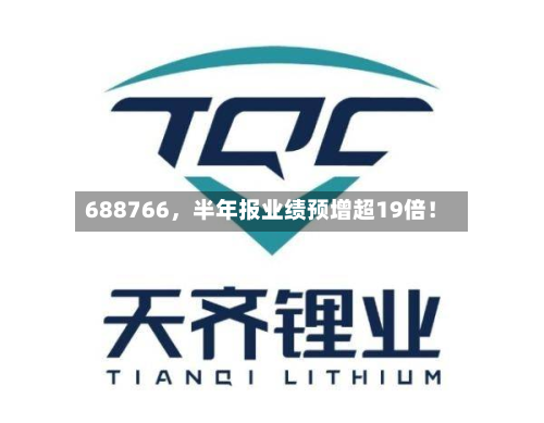 688766，半年报业绩预增超19倍！-第2张图片