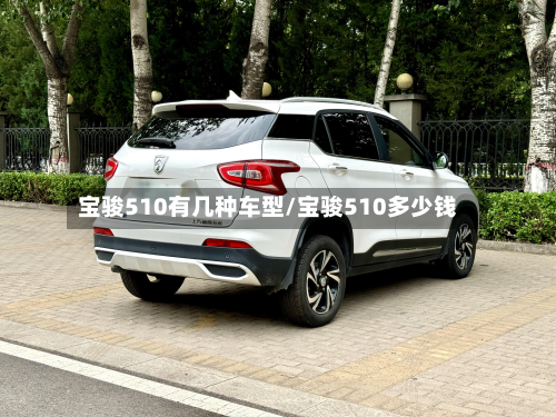 宝骏510有几种车型/宝骏510多少钱