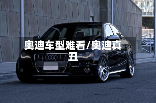 奥迪车型难看/奥迪真丑-第2张图片
