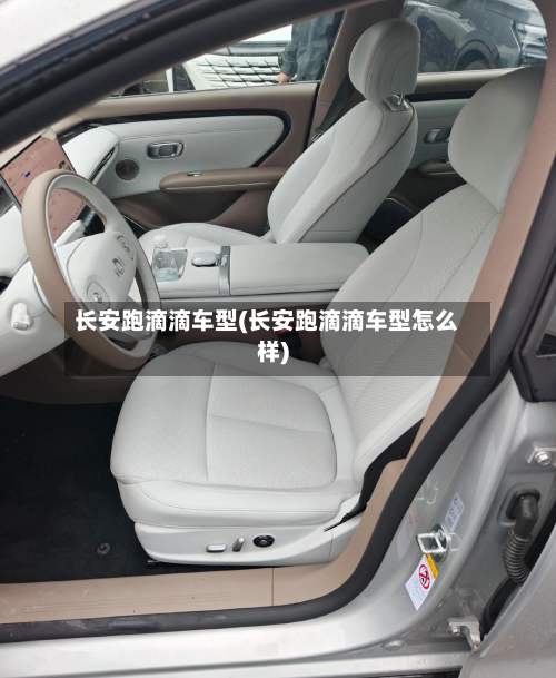 长安跑滴滴车型(长安跑滴滴车型怎么样)-第2张图片