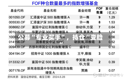 公募“专业买手	”，持仓“变脸”-第3张图片