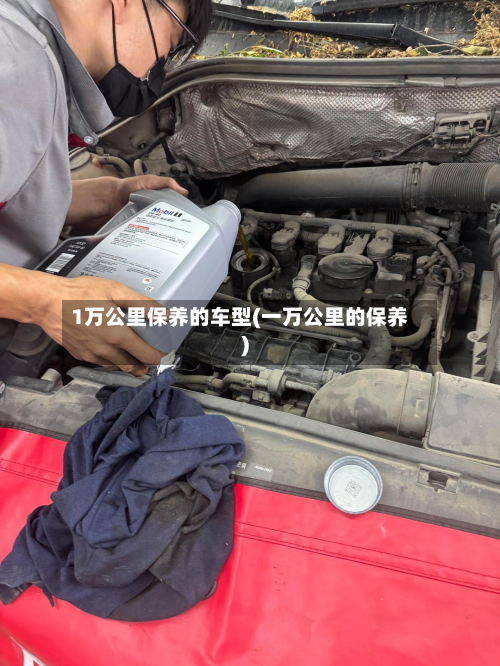 1万公里保养的车型(一万公里的保养)-第2张图片
