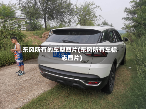 东风所有的车型图片(东风所有车标志图片)