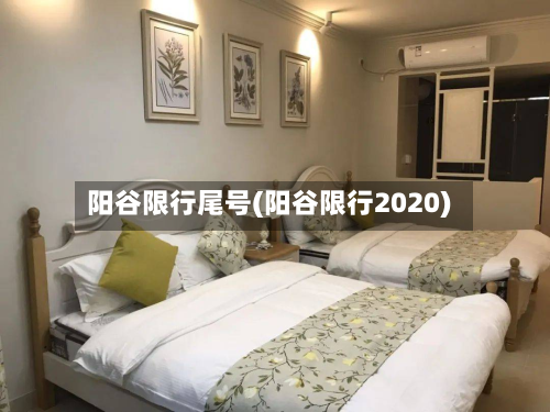 阳谷限行尾号(阳谷限行2020)