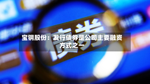 宝钢股份：发行债券是公司主要融资方式之一-第3张图片