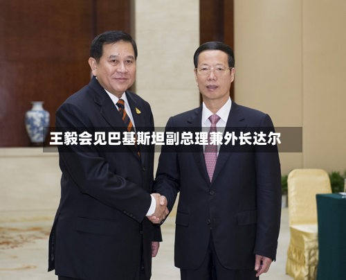 王毅会见巴基斯坦副总理兼外长达尔-第2张图片
