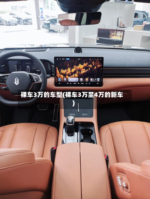裸车3万的车型(裸车3万至4万的新车)