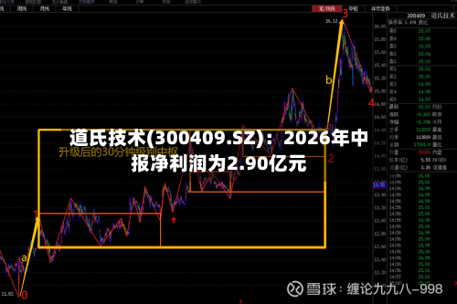 道氏技术(300409.SZ):2026年中报净利润为2.90亿元-第2张图片