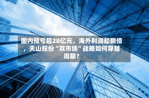 国内预亏超28亿元，海外利润却翻倍	，天山股份“双市场”战略如何穿越周期？-第3张图片