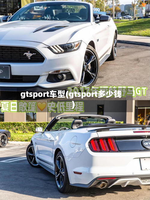 gtsport车型(gtsport多少钱)-第2张图片