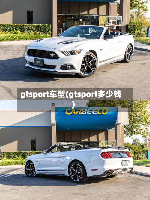 gtsport车型(gtsport多少钱)