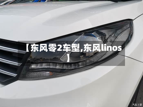 【东风零2车型,东风linos】-第2张图片
