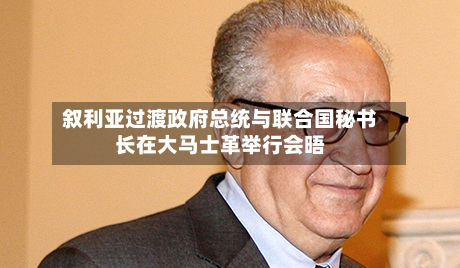 叙利亚过渡政府总统与联合国秘书长在大马士革举行会晤