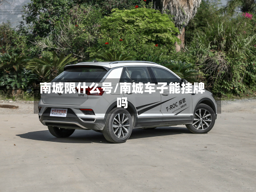 南城限什么号/南城车子能挂牌吗