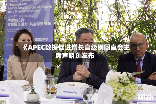《APEC数据促进增长高级别圆桌会主席声明》发布