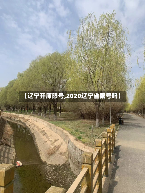 【辽宁开原限号,2020辽宁省限号吗】