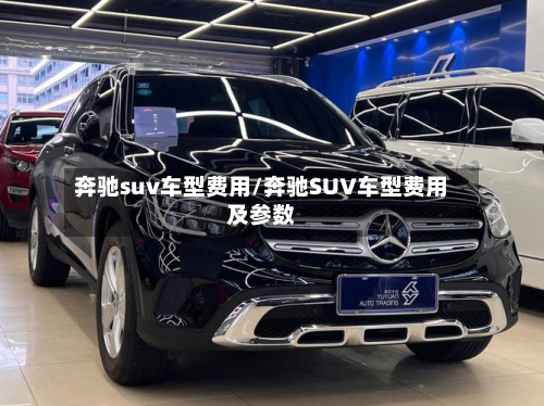 奔驰suv车型费用/奔驰SUV车型费用及参数