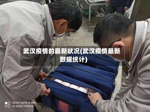 武汉疫情的最新状况(武汉疫情最新数据统计)