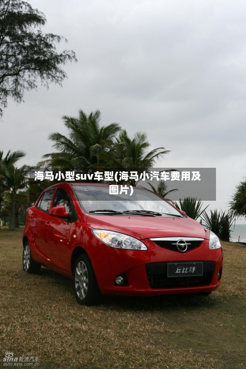 海马小型suv车型(海马小汽车费用及图片)